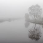 Nebel in Ostfriesland