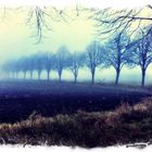 Nebel in Ostfriesland
