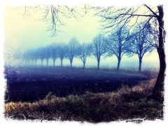 Nebel in Ostfriesland