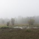 Nebel in Pankow 