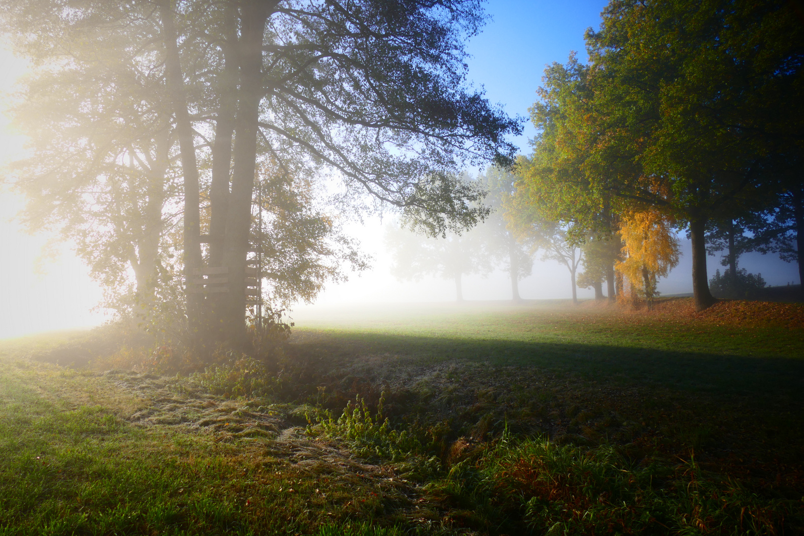 Nebel in Pechtnersreuth