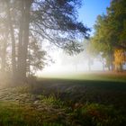 Nebel in Pechtnersreuth