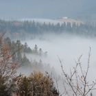 Nebel in polnische Beskiden