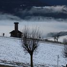 Nebel in Rodeneck in Südtirol 