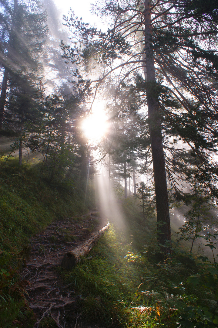 Nebel in Saalfelden Richtung Peter Wiechentaler Hütte