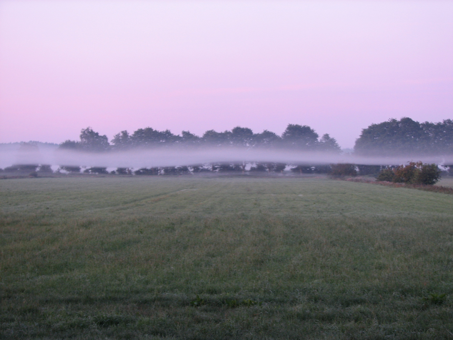 Nebel in Schichten