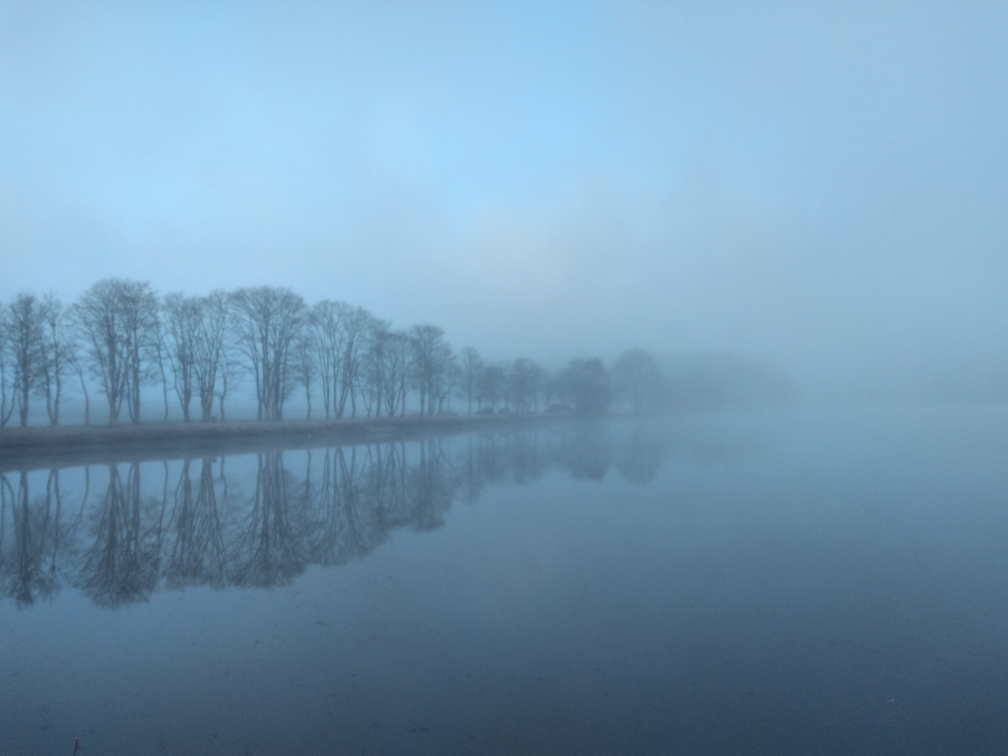 Nebel in Sicht