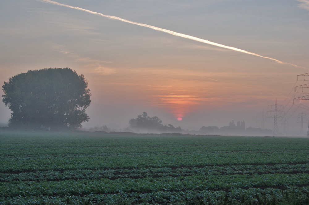 Nebel in Sinthern