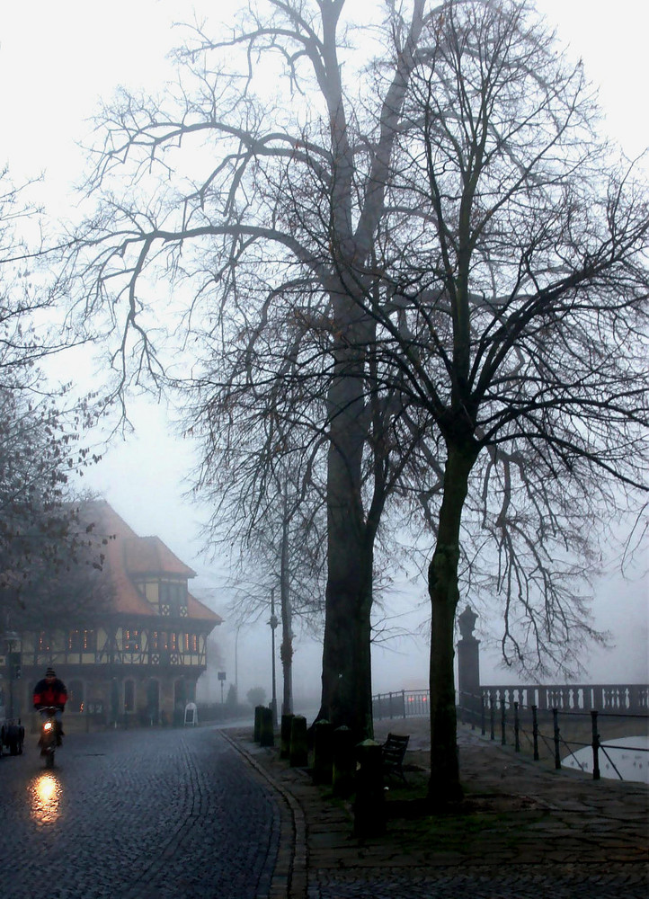 Nebel in Steinfurt