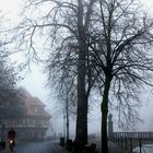 Nebel in Steinfurt