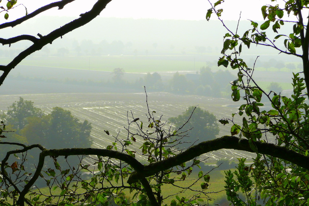 Nebel in Stromberg