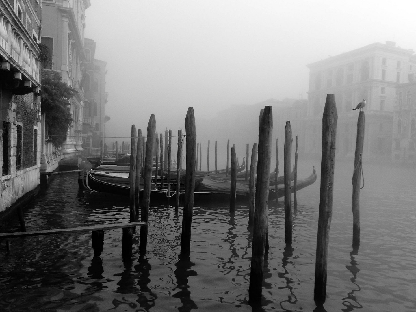 Nebel in Venedig 2