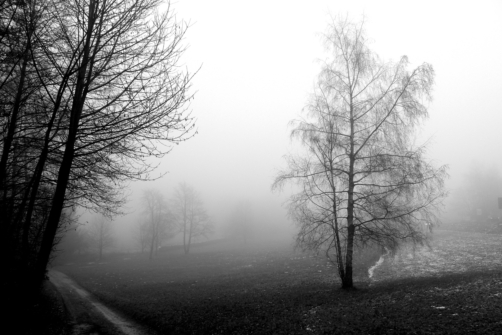 Nebel in Wilhelmsfeld