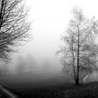 Nebel in Wilhelmsfeld