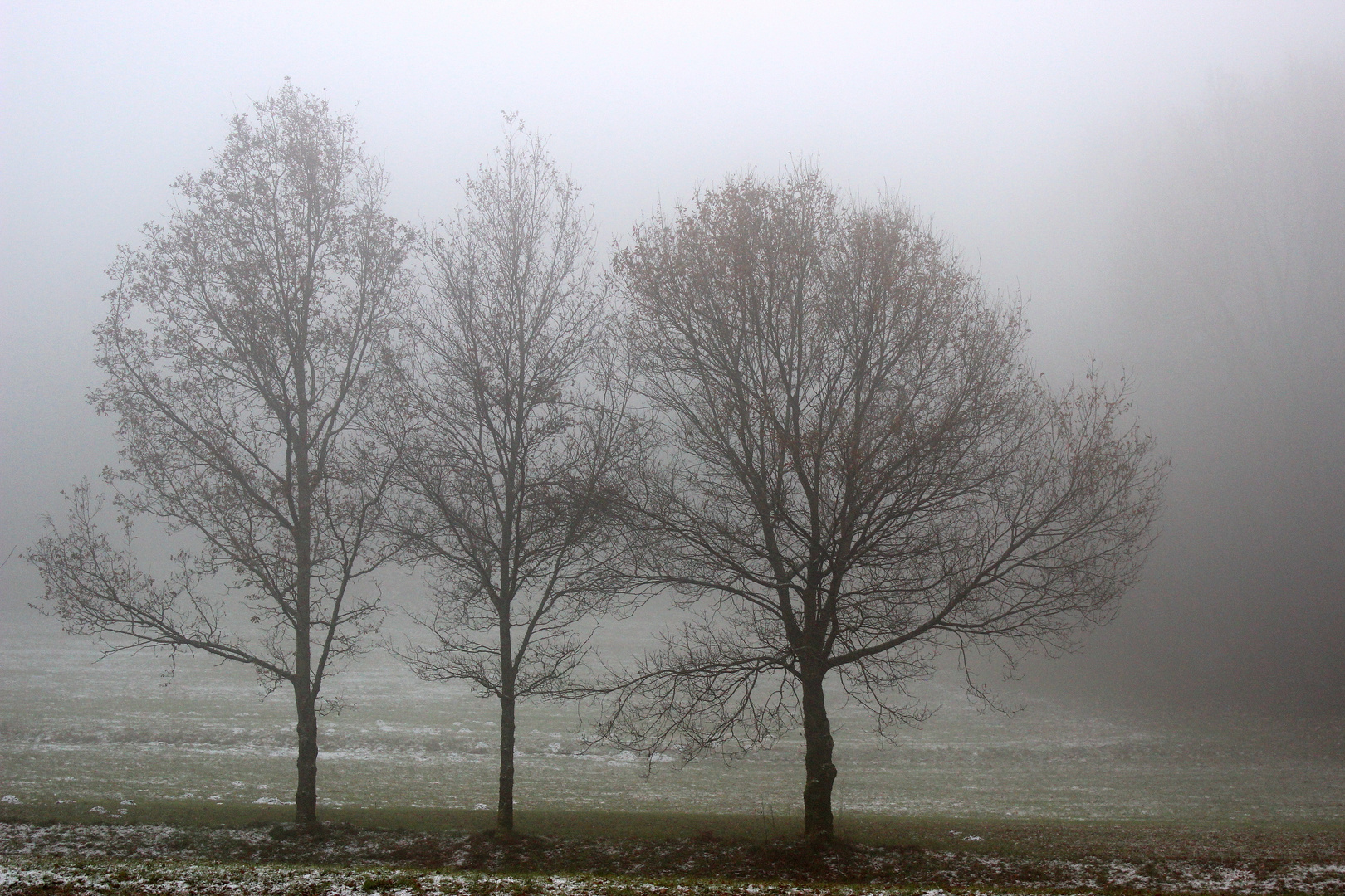 Nebel in Wilhelmsfeld2