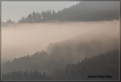 Nebel in Wittgenstein