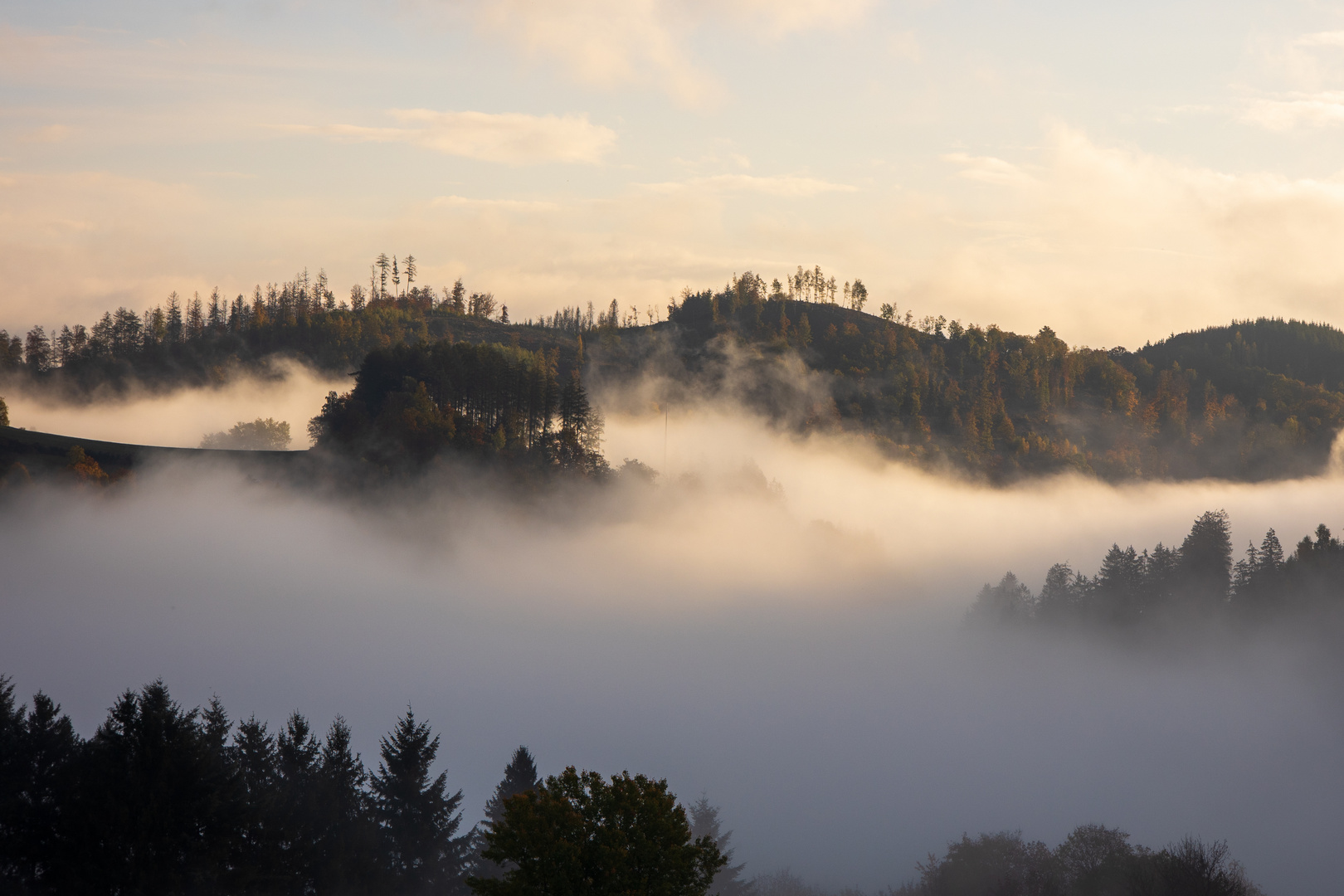 Nebel in Wittgenstein 