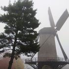 Nebel in Xanten