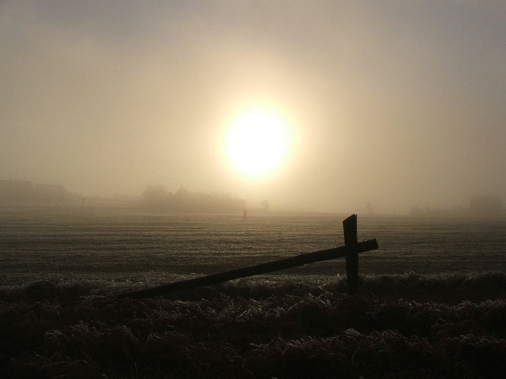 Nebel in Zinnwald