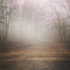 Nebel - iPhone Foto