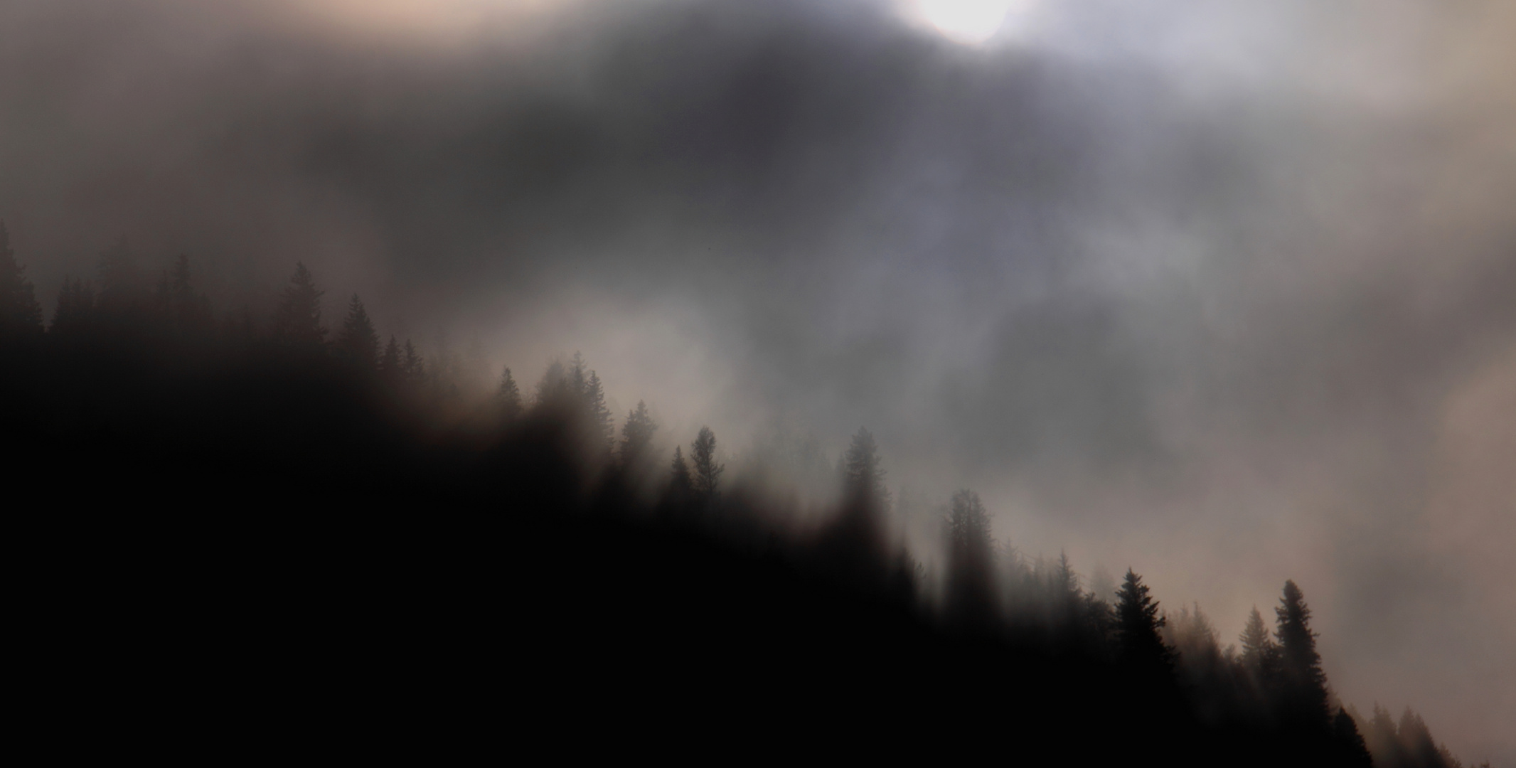 Nebel ist der Weichzeichner der Natur