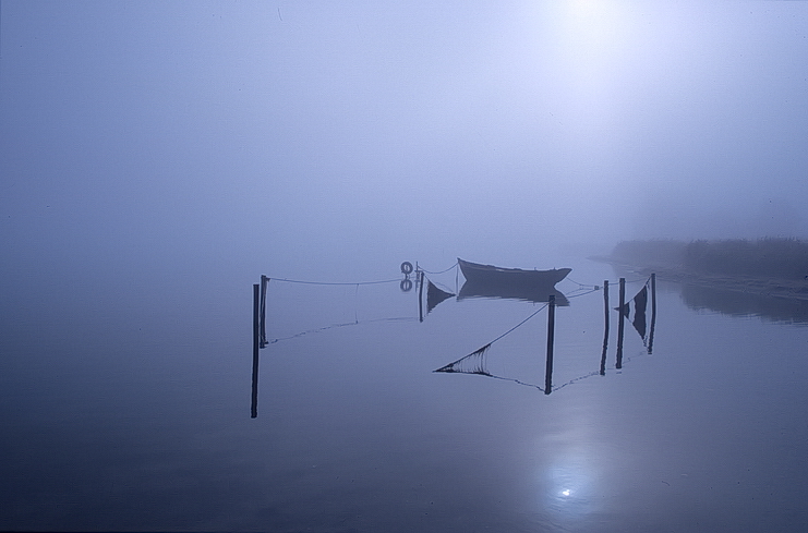 Nebel ist die schönste Form der Verschleierung (c) Klaus Ender