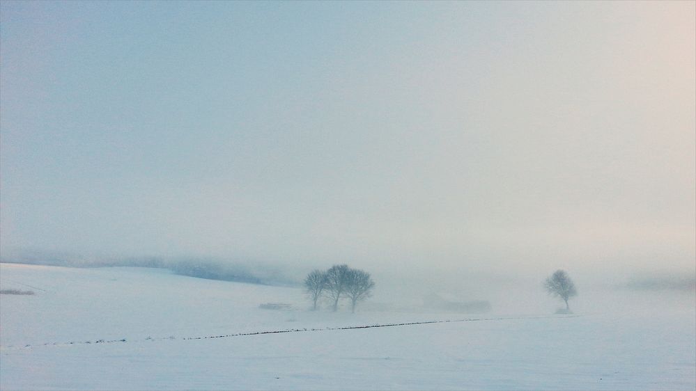 Nebel, Kälte und zartes Morgenlicht