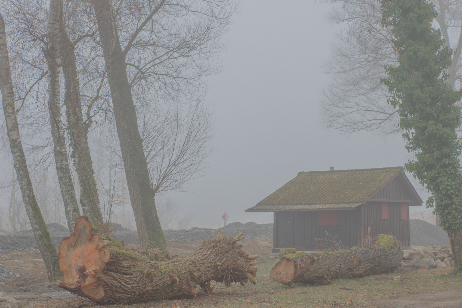  Nebel kann ...2