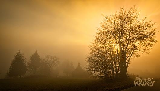 Nebel kann auch schön sein