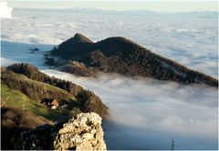 Nebel kann auch schön sein!