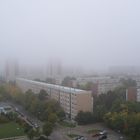 Nebel - kein Smog