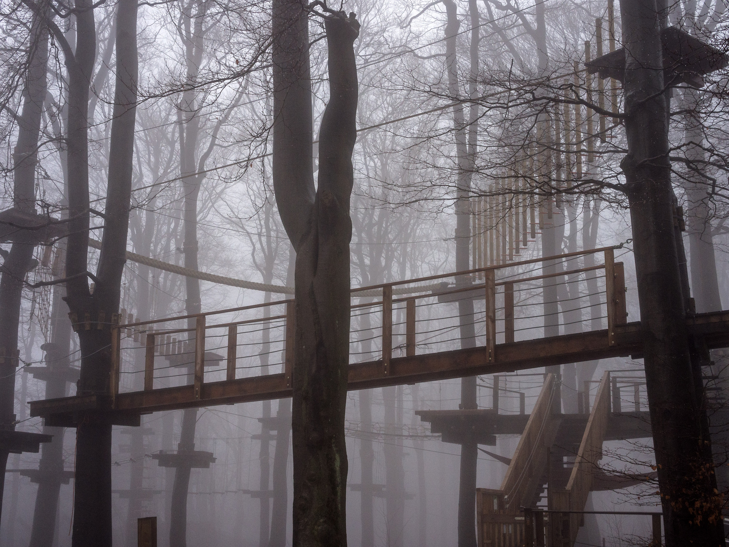 Nebel-Kletterwald