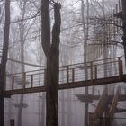 Nebel-Kletterwald