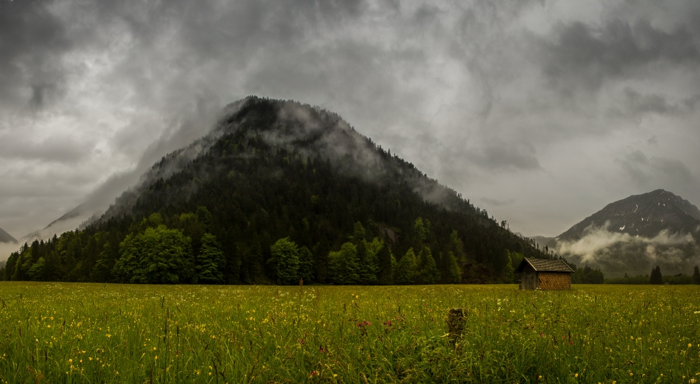 Nebel kommt