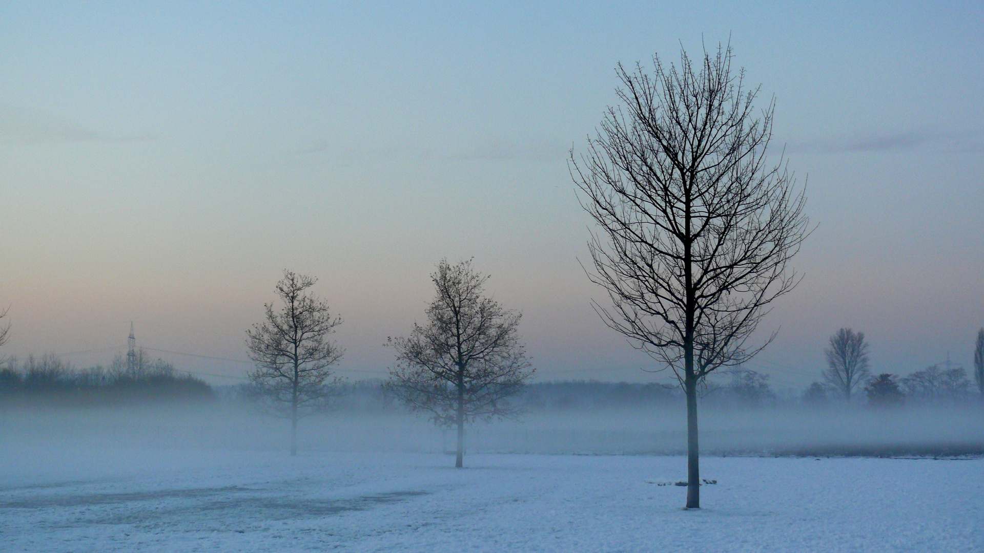 Nebel kommt auf