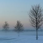 Nebel kommt auf