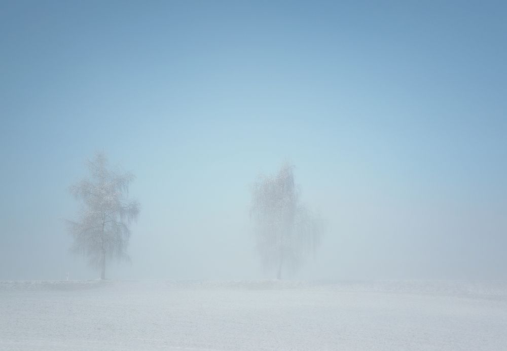 Nebel kommt auf