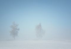 Nebel kommt auf