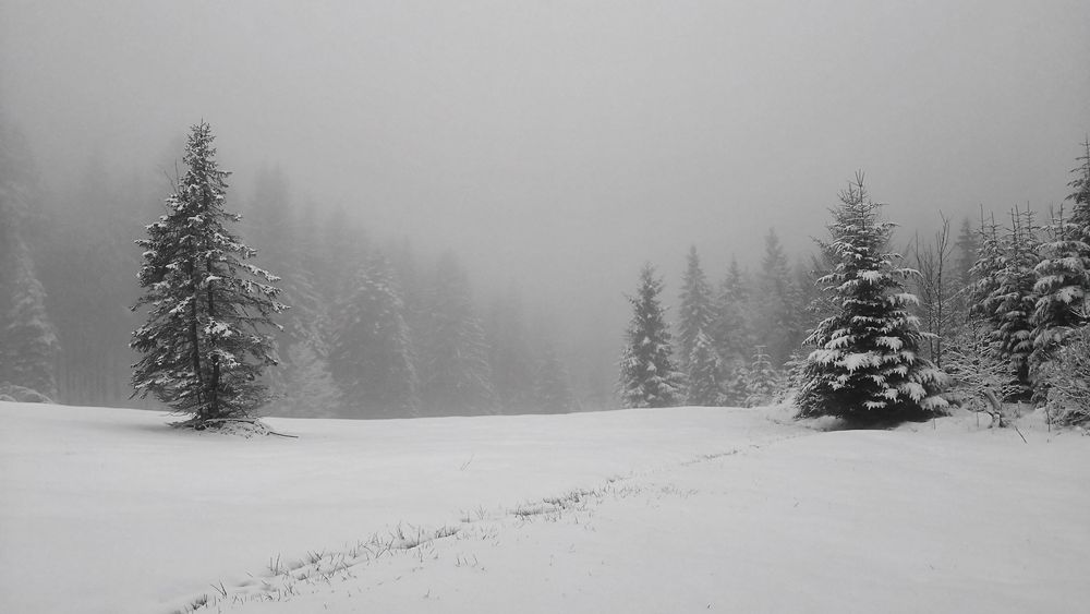 Nebel kommt auf