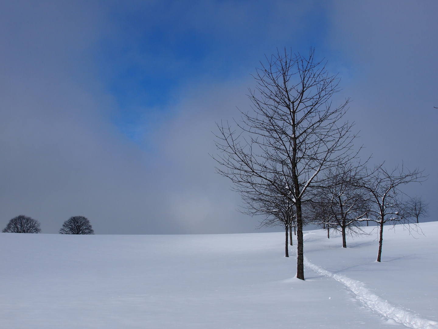 Nebel kommt auf