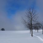 Nebel kommt auf