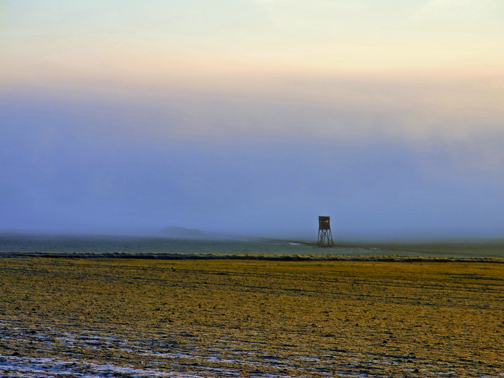 Nebel kommt aus dem Tal..