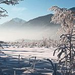 NEBEL KOMMT HOCH-LOISACHTAL BEI GARMISCH