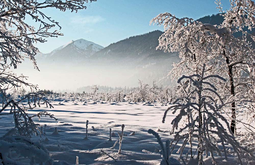 NEBEL KOMMT HOCH-LOISACHTAL BEI GARMISCH