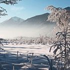 NEBEL KOMMT HOCH-LOISACHTAL BEI GARMISCH