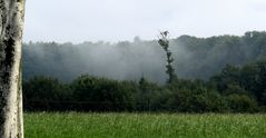 Nebel kommt schon auf