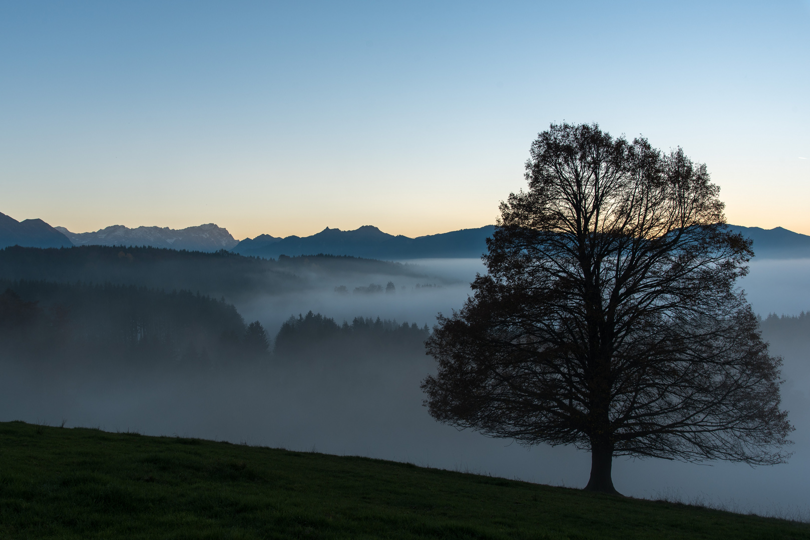 Nebel kriecht heran