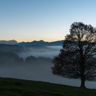 Nebel kriecht heran