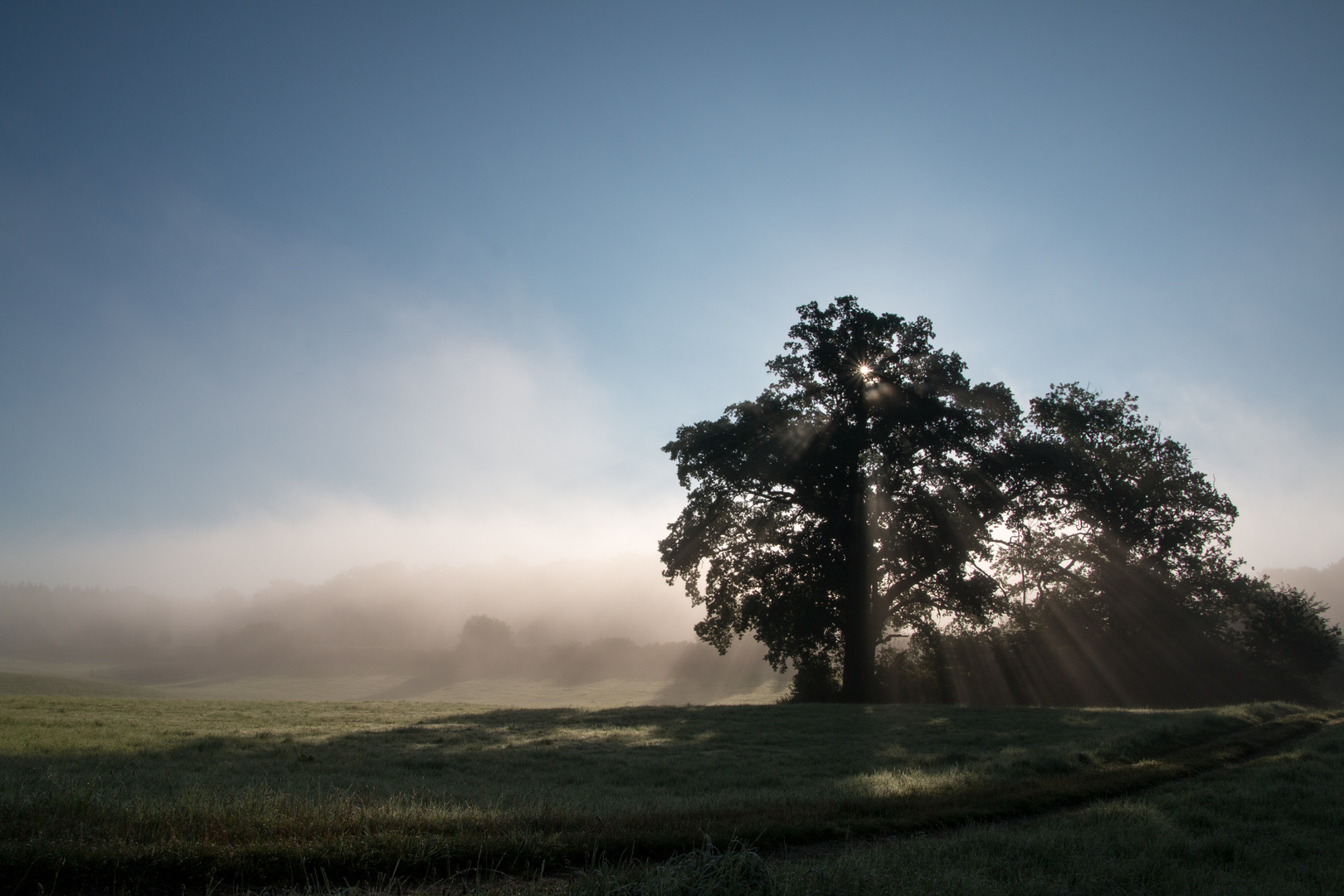 Nebel kurz nach Sonnenaufgang