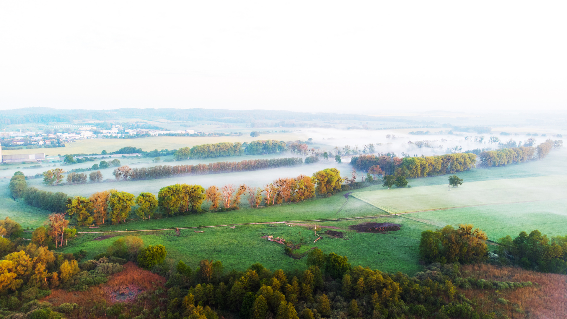 Nebel kurz nach Sonnenaufgang